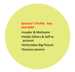 Sponsor Profile What is the purpose of a project sponsor - Gethyn Ellis