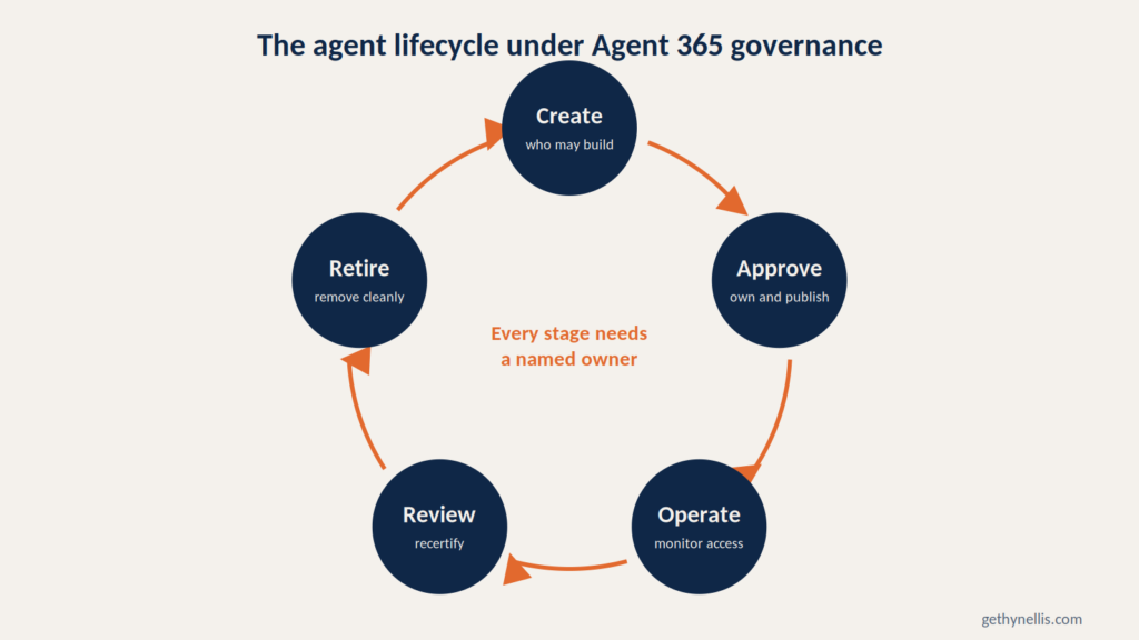 AI agent lifecycle stages under Agent 365 governance.
